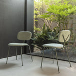 - Ypsilon - Minimalist Dining Chairs - Spaceman