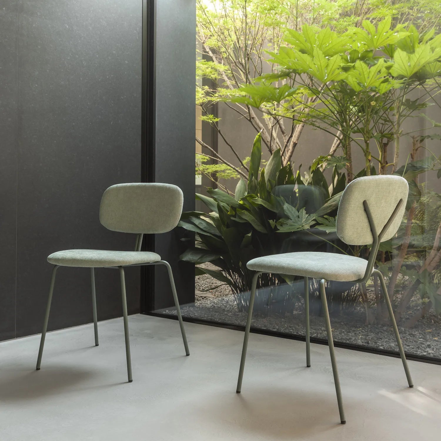 - Ypsilon - Minimalist Dining Chairs - Spaceman