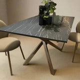 Chairs - Ladybug - Classically elegant Dining Chairs - Spaceman