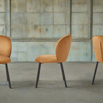 Chairs - Ladybug - Classically elegant Dining Chairs - Spaceman
